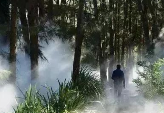 石嘴山人工雾景，打造网红景观的方向