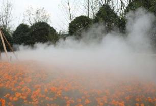 抚州使用人造雾造景时应该注意哪些事项？
