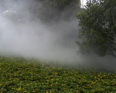 中卫人造雾在营造美景的同时也提升空气质量